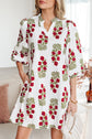 Catalina Sleeve Loose Mini Dress