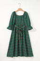 Scarlett Waist Flared Midi Dress