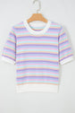Ailany Knit Short Sleeve Sweater