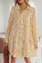 Kaiya Loose Shirt Dress Long Sleeve