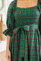 Scarlett Waist Flared Midi Dress