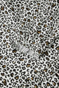 Elsa Puff Sleeve Print PLUS Blouse