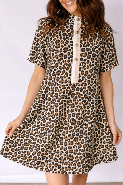 Aisha Sleeve Loose Mini Dress