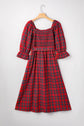 Jazmin Waist Flared Midi Dress